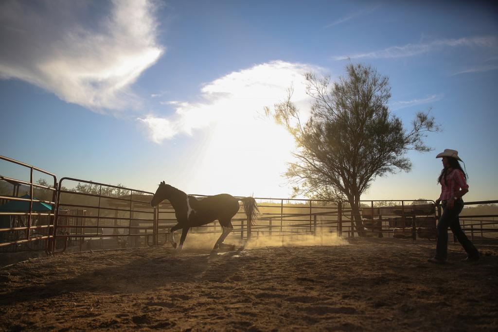 Tanque Verde Guest Ranch Villa Tucson Exterior photo