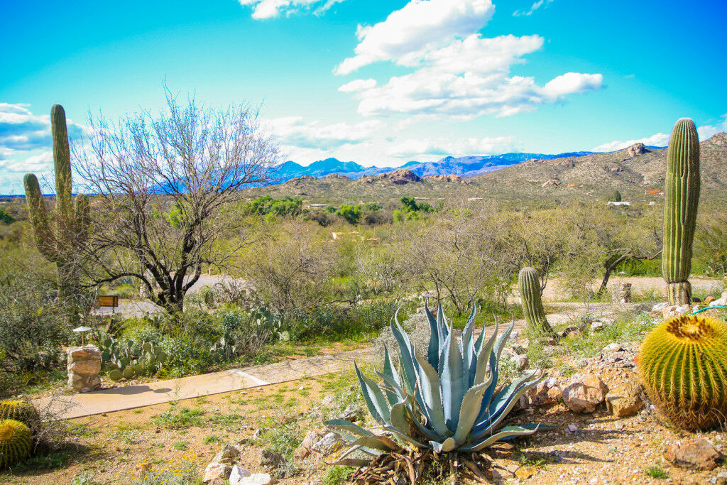 Tanque Verde Guest Ranch Villa Tucson Exterior photo